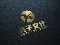 上海壳子文化定制网站建设
