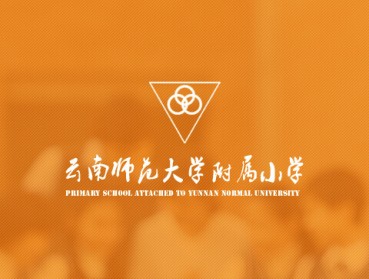 云南师大附属小学网站定制设计开发建设项目